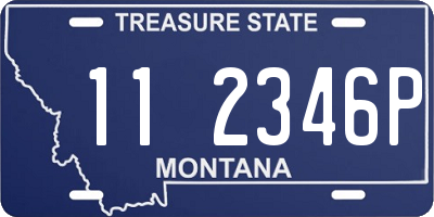 MT license plate 112346P