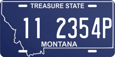 MT license plate 112354P