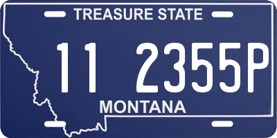 MT license plate 112355P