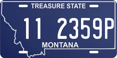 MT license plate 112359P