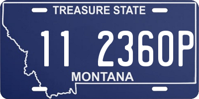 MT license plate 112360P