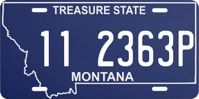 MT license plate 112363P