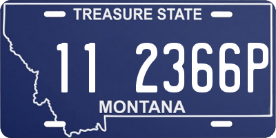 MT license plate 112366P