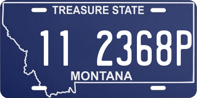 MT license plate 112368P