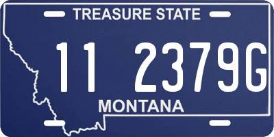 MT license plate 112379G