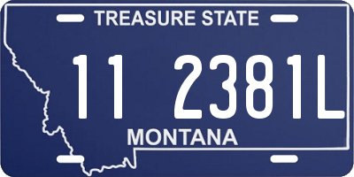 MT license plate 112381L