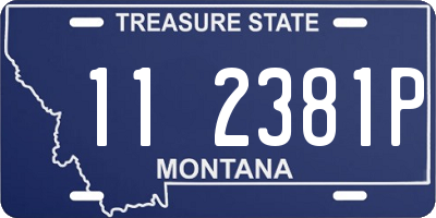 MT license plate 112381P