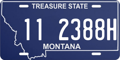 MT license plate 112388H