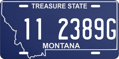 MT license plate 112389G