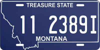 MT license plate 112389I