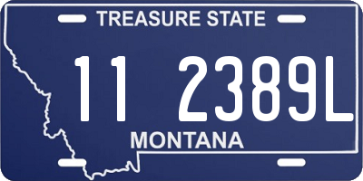 MT license plate 112389L