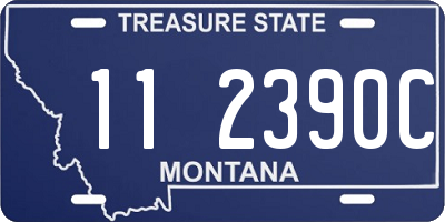 MT license plate 112390C