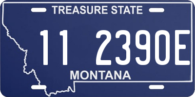 MT license plate 112390E