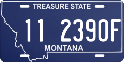 MT license plate 112390F