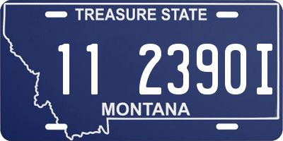 MT license plate 112390I