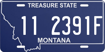 MT license plate 112391F