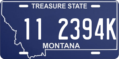 MT license plate 112394K