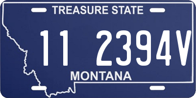 MT license plate 112394V