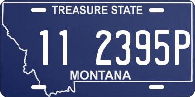 MT license plate 112395P