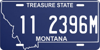 MT license plate 112396M