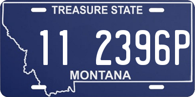 MT license plate 112396P