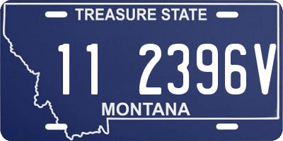 MT license plate 112396V