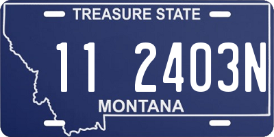 MT license plate 112403N
