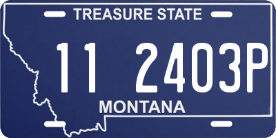 MT license plate 112403P