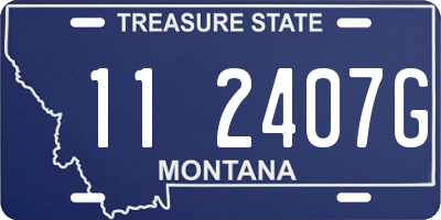 MT license plate 112407G