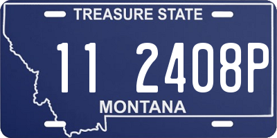 MT license plate 112408P