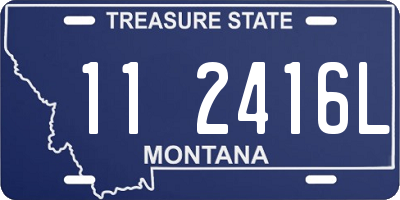 MT license plate 112416L