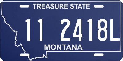 MT license plate 112418L