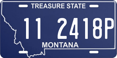 MT license plate 112418P