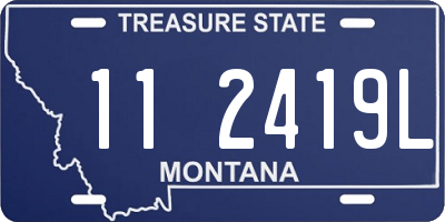 MT license plate 112419L