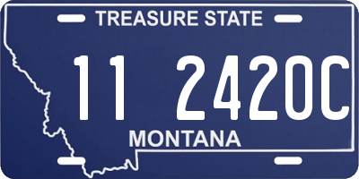 MT license plate 112420C