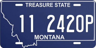MT license plate 112420P