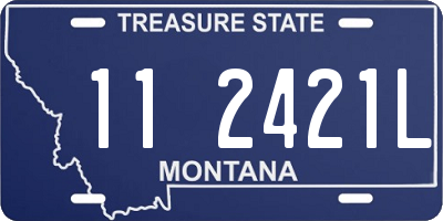 MT license plate 112421L