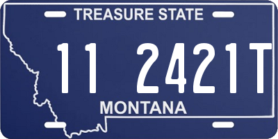 MT license plate 112421T