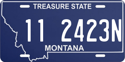 MT license plate 112423N