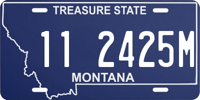 MT license plate 112425M