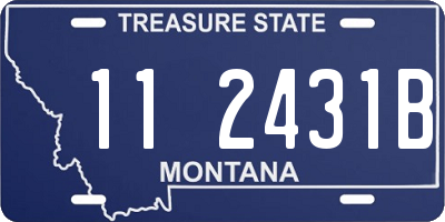 MT license plate 112431B