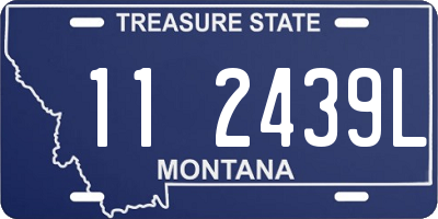 MT license plate 112439L