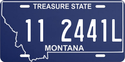 MT license plate 112441L