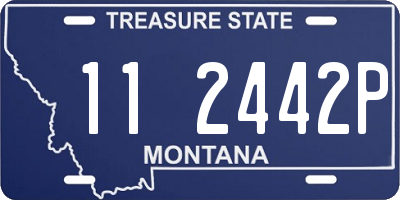 MT license plate 112442P