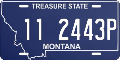 MT license plate 112443P