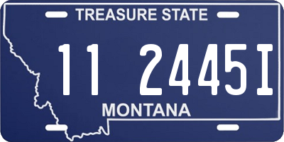 MT license plate 112445I
