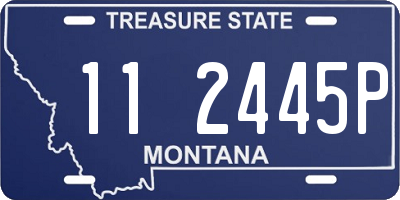 MT license plate 112445P