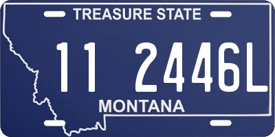 MT license plate 112446L