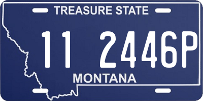 MT license plate 112446P