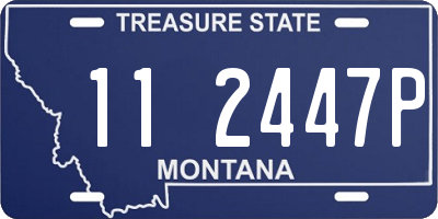 MT license plate 112447P